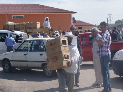 132 arcıya canlı arı dağıtıldı