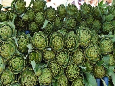 2. ULUSLARARASI ENGİNAR FESTİVALİ URLA`DA BAŞLADI
