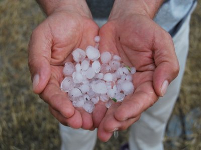 30 dakika yağan dolu tarım ürünlerine zarar verdi