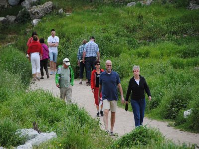 4 ilçenin bitki, kuş ve doğal zenginliği ekoturizme kazandırılacak