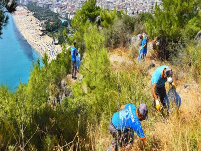 ALANYA DÖRT BİR YANDAN TEMİZLENİYOR