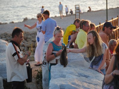 Alman turistlerde yüzde 20 azalma oldu