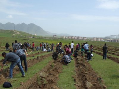Bitlis’te 30 bin fidan toprakla buluştu