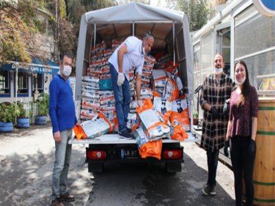 BODRUM`DA SOKAK HAYVANLARI UNUTULMUYOR