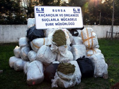 Bursa’da 1 ton 155 kilo esrar ele geçirildi