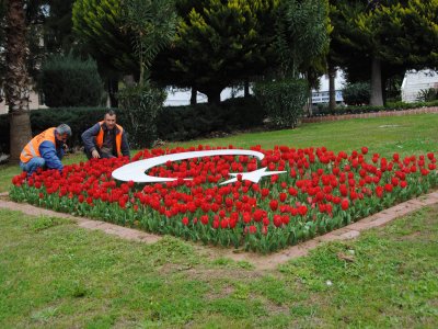 Cemrenin toprağa düşmesiyle ilkbahara geçiş başladı