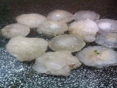 Ceviz büyüklüğünde yağan dolu vatandaşı korkuttu