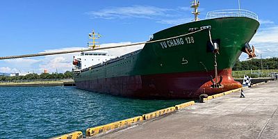 Çin yük gemisi Japonya'da iskeleye çarptı