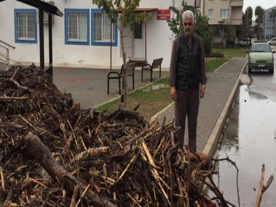 DENİZE DOLAN ODUN PARÇALARI İHTİYAÇ SAHİPLERİNİ ISITACAK