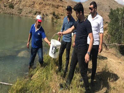 ERZİNCAN`DA BALIKLANDIRMA ÇALIŞMALARI SÜRÜYOR