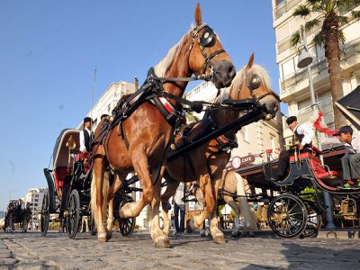 Faytonlar Kent Merkezine Açılıyor