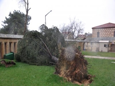 Fırtına Ağır Hasar Bıraktı