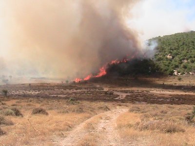 Foça’daki Orman Yangını kontrol Altına Alındı