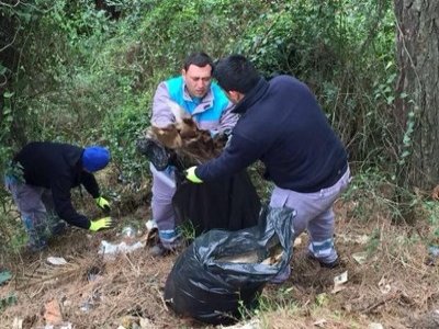 FÜRTH YÜRÜYÜŞ YOLU TEMİZLENDİ