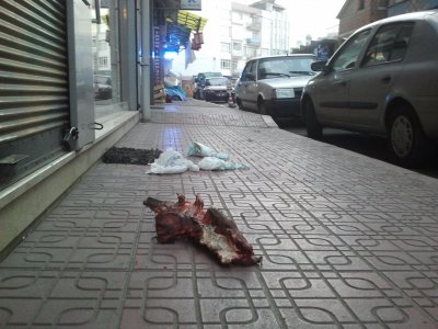Gelişi güzel atılan çöpler, çevre kirliliğine davetiye çıkartıyor