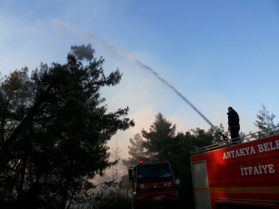 Hatay'da orman yangını