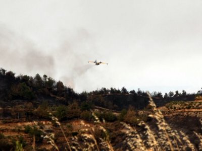 Hatay'daki orman yangını sürüyor