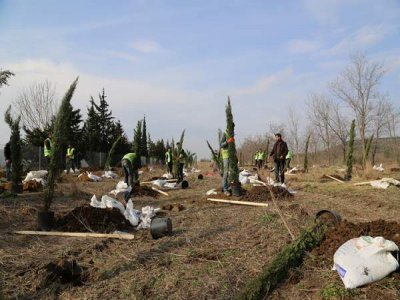 İstanbul`a 115 Bin Yeni Ağaç