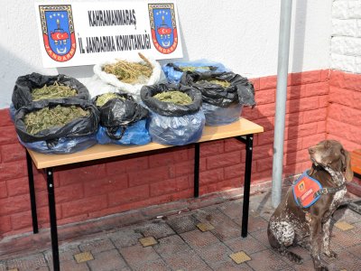 Kahramanmaraş’ta 33 kilo esrar yakalandı