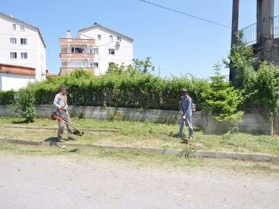 Kaldırımlar ve yol kenarları yabani otlardan temizleniyor