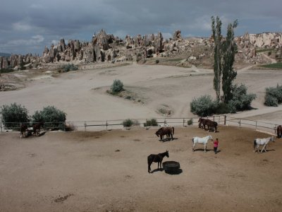 Kapadokya'da turizmle birlikte at çiftlikleri artıyor