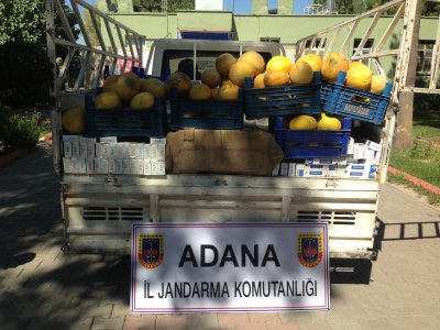 Kavun kasalarının arasında sigara sevkiyatı jandarmaya takıldı