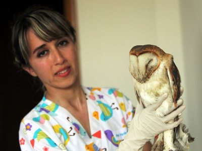 KIZILIRMAK DELTASI`NDAKİ KLİNİKTE 80 GÖÇMEN KUŞ TEDAVİ EDİLDİ
