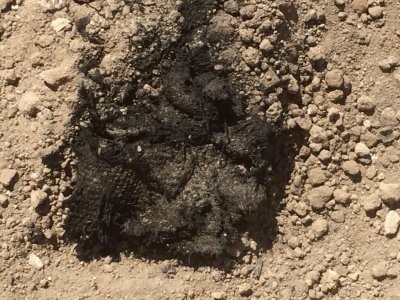 Laodikya antik kentinde bin 500 yıllık kumaş bulundu