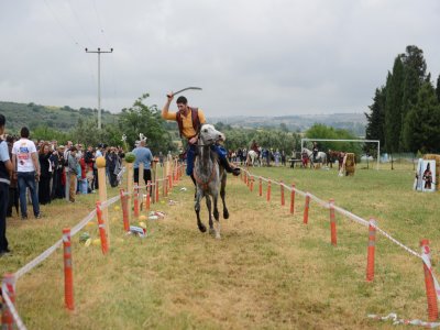 Leylek şenliği başladı