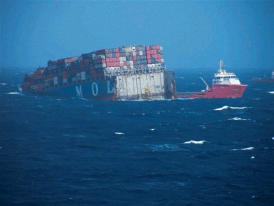 Mol Comfort `Total Loss` Oldu!
