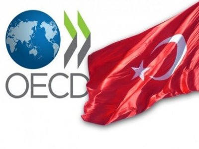 OECD Raporuna Göre Türkiye Dünya İkincisi Olacak