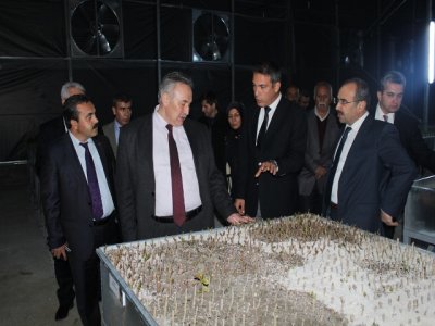Orman Bölge Müdürlüğü fidanlıklarında bu yıl 8 milyon fidan üretilecek