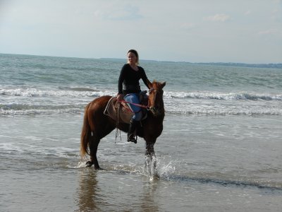 Plajlarda deve ve at safari turları mavi bayrak kriterlerini zora sokuyor