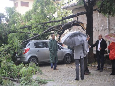 Sağanak yağmur ağaç dalını otomobillerin üzerine düşürdü