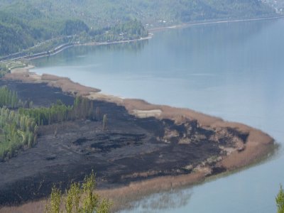 Sapanca Gölü’nden bu kez güzel haber geldi, yanan sazlıklar yeşillendi