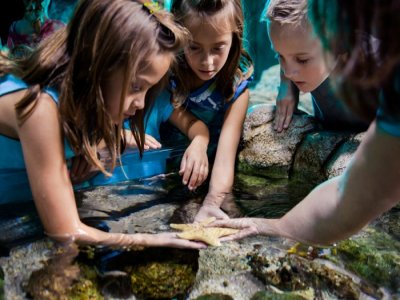 SEA LIFE`DAN KARNE HEDİYESİ