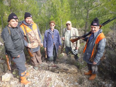 Silifke’nin dağ köylerini yaban domuzları sardı