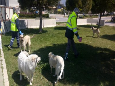 SOKAĞA ÇIKMA YASAĞINDA DA CAN DOSTLAR UNUTULMADI