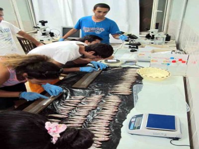 Su ürünleri öğrencileri, teorik bilgileri pratikle destekledi