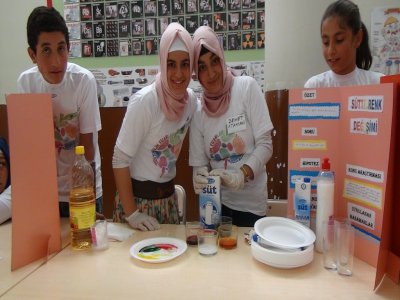 Tatvan'da TÜBİTAK Bilim Fuarı düzenledi