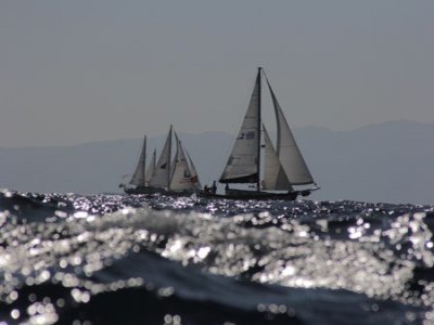 THE BODRUM CUP TAV PASSPORT GÜMÜŞLÜK LEROS ETABI