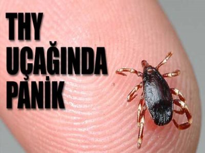 THY Uçağında Kene Paniği!