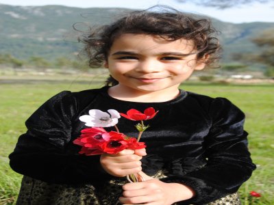 Toroslar, erken gelen baharla renklendi, kuzularla şenlendi