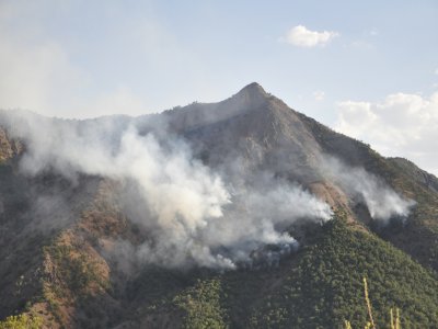 Tunceli’de orman yangını