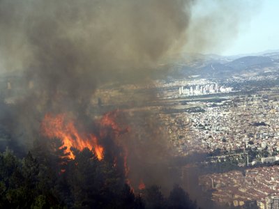 Uludağ ormanlarını yangınlardan korumak için özel önlem alınıyor