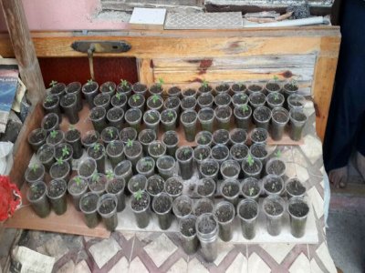 Uyuşturucu operasyonunda 13 kişi gözaltına alındı