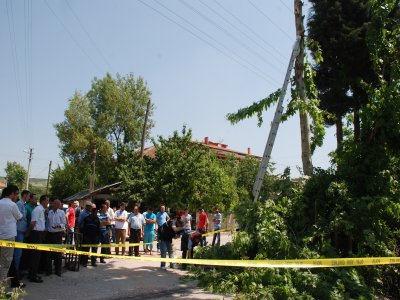 Yaşlı adam budama için çıktığı ağaçtan düşerek öldü